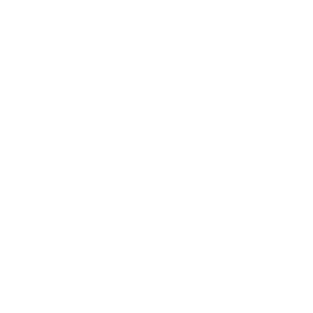 Valencia Logo White